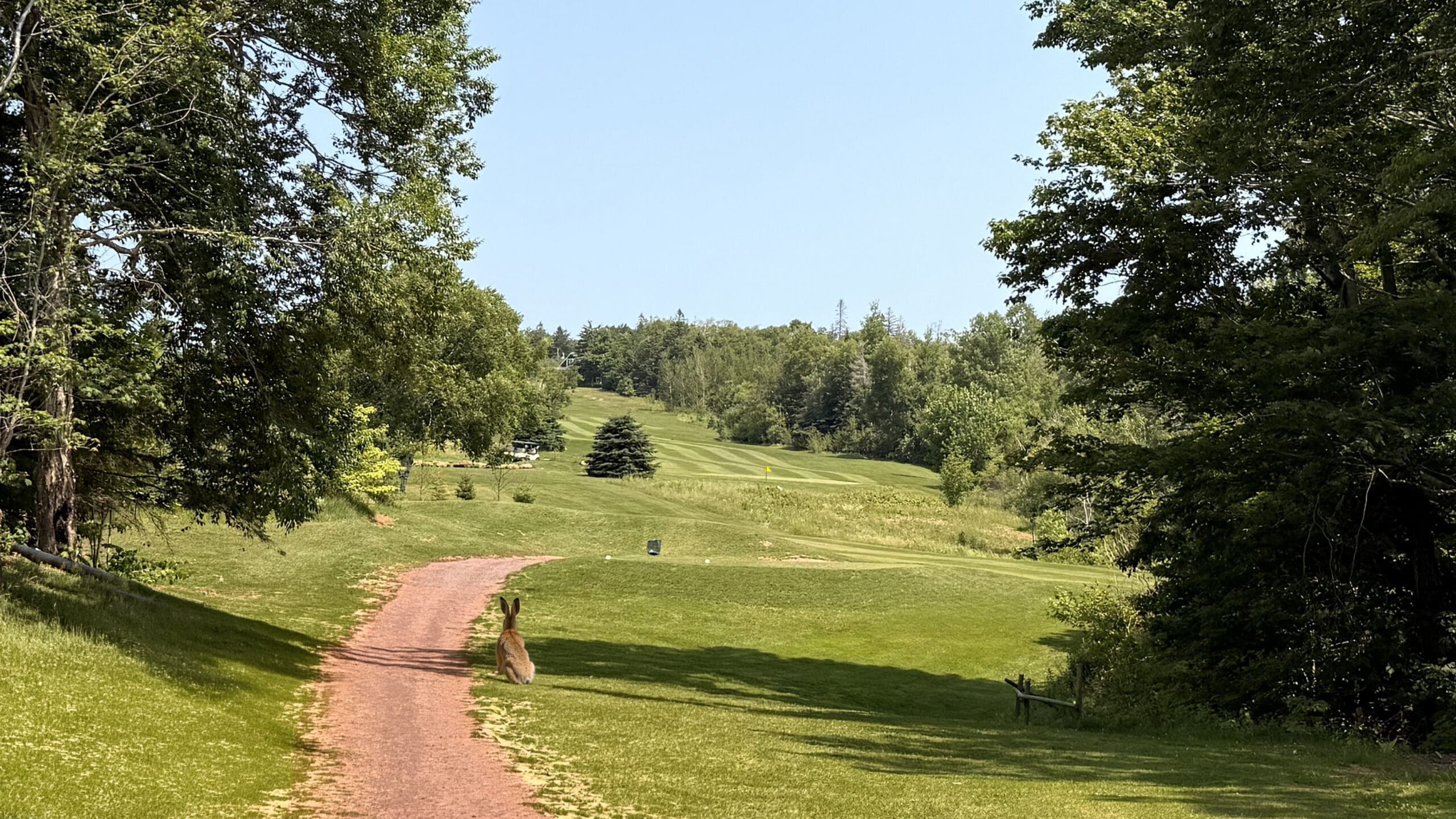 Fairway 4