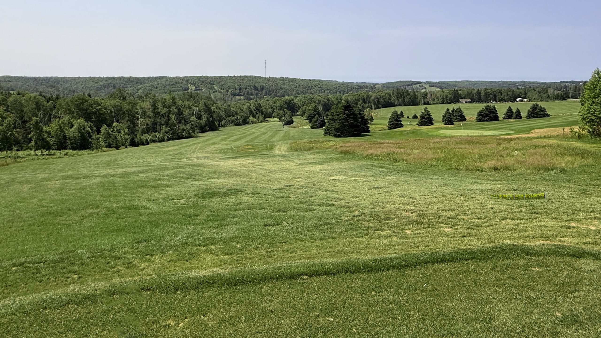 Fairway 5