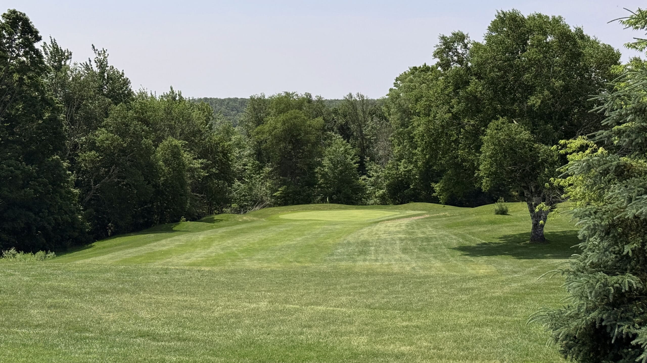 Fairway 6